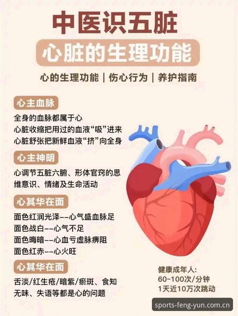5大核心功能解析：风云体育数据平台如何重塑赛事分析决策链