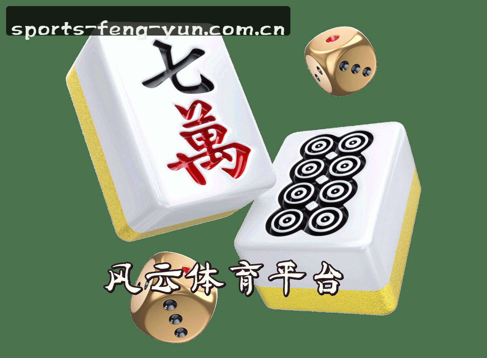 风云体育(FengYun)官方网站 - 行业领先的体育数据平台